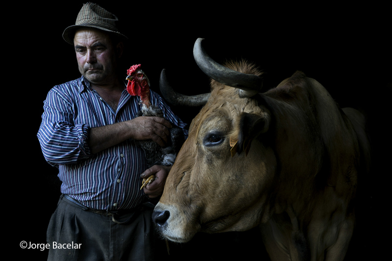 Jorge Bacelar vence Grande Prémio de Fotografia de Raças de Animais Autóctones
