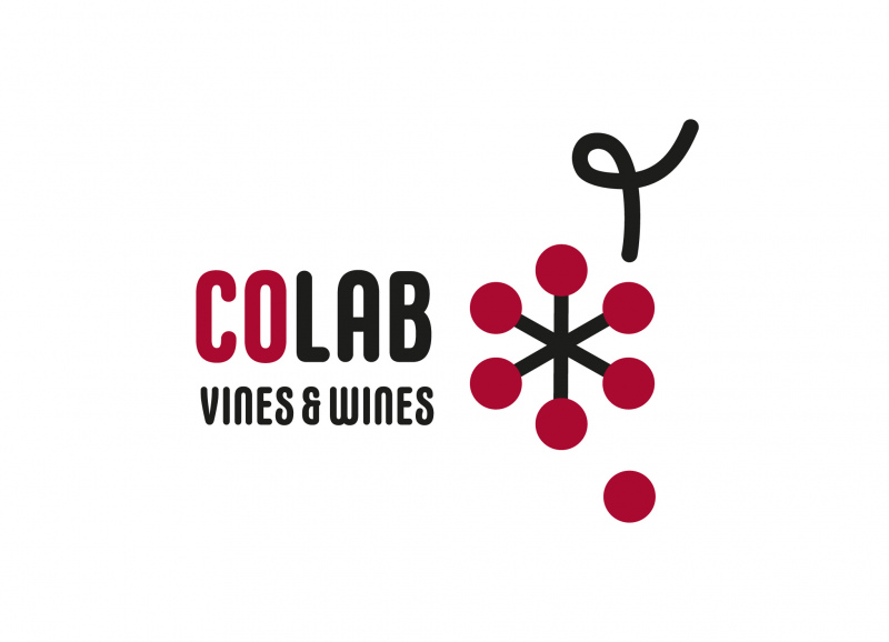 CoLAB VINES&WINES oferece trabalho em ciências da comunicação, psicologia ou afins
